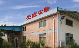 厂房展示