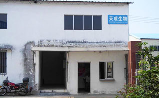 厂区一角